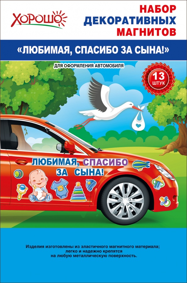Набор декоративных магнитов 'Любимая, спасибо за сына!', 13 шт., европодвес, 51.56.323